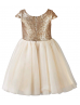 Cap Sleeves Champagne Sequin Tulle Popular Flower Girl Dress